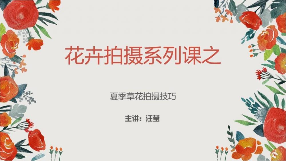 花卉拍摄系列课之夏季草花拍摄技巧
