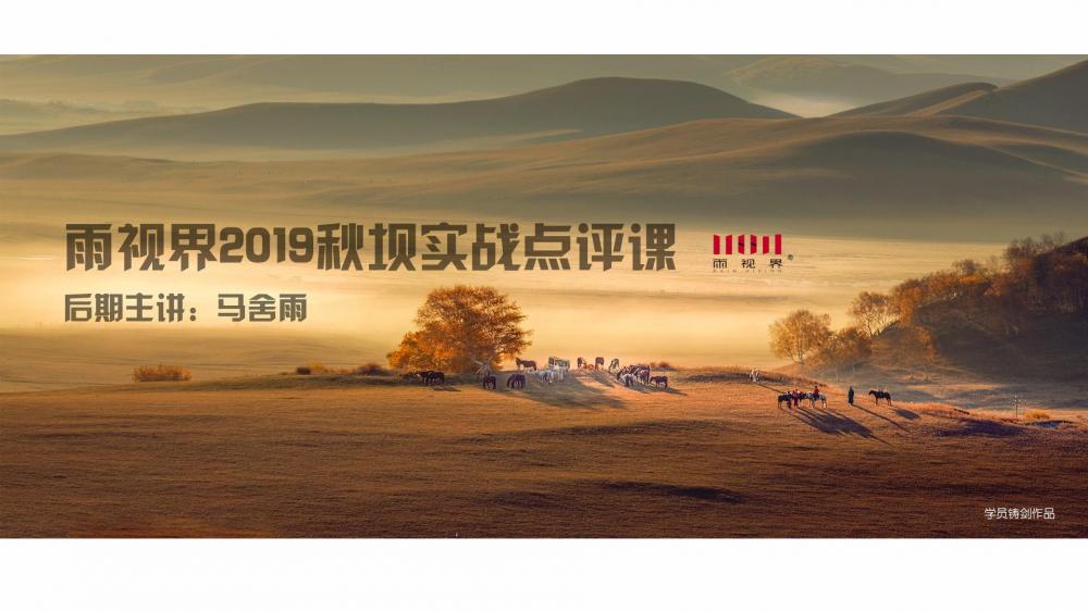 2019年雨视界秋坝作品点评